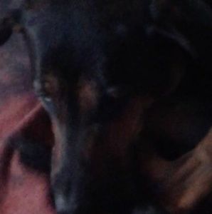 Meet your Posher, Richard